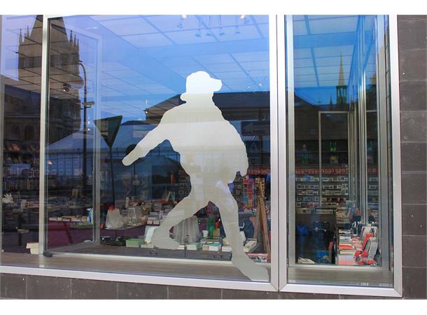 Aslan SE 70 Colour Shift Solar, 13141S: rosa/gul 1,37x12,5m 