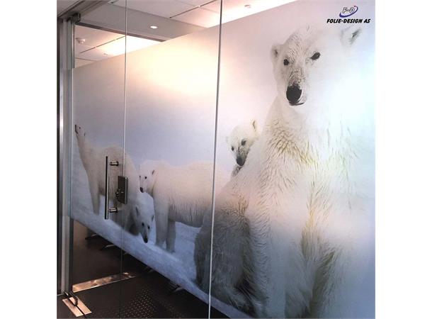 Aslan DFL 300 PrintEtched Dryapply 80mic 