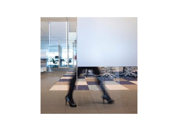 Avery Dusted Glass 80mic 