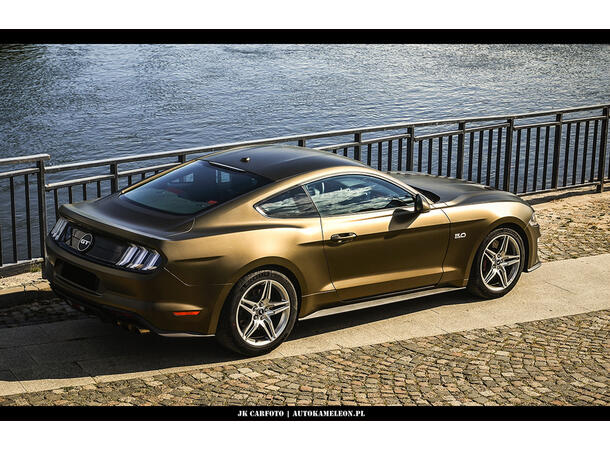 Platinum Wrapping Film (PWF) 