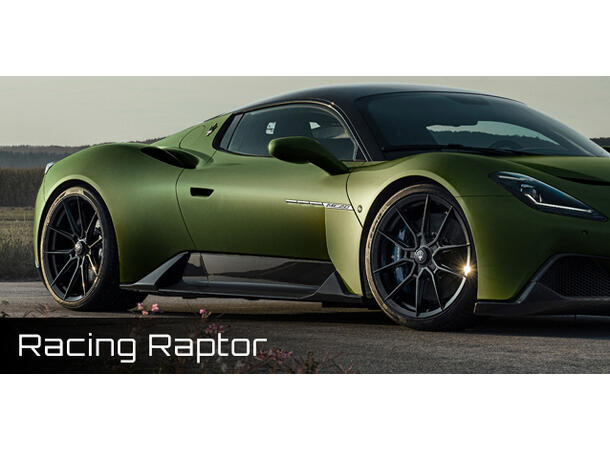 Omega Skinz OS-646 Racing Raptor 1,52x20m 