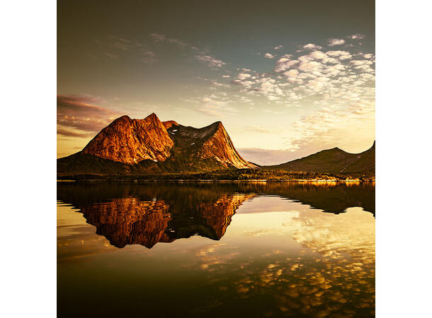 Powervinyl mono 100mic 