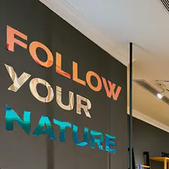 Aslan SE 71 Colour Shift Opaque Aurora, 13142S: rosa/blå 1,35x1m