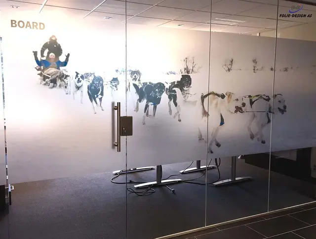 Aslan DFL 300 PrintEtched Dryapply 80mic 