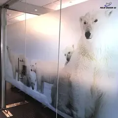 Aslan DFL 302 PrintSilverEtched Dryapply 80mic