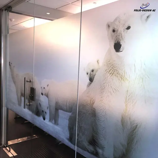 Aslan DFL 300 PrintEtched Dryapply 80mic 