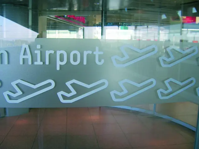 Aslan EL 302 SilverEtched Dryapply 80mic 