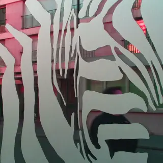 Aslan E 300 Etched 80mic