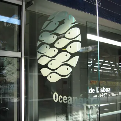 Aslan DFL 210 PrintMilky Dryapply 80mic 14210DFL 1,37x50m 