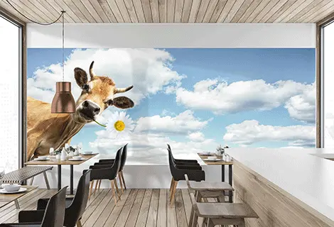 Aslan DRL 19 LoopPET 50mic 1,37x50m 