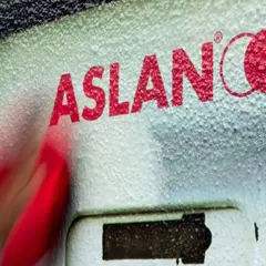 Aslan SL 99 Antigraffiti