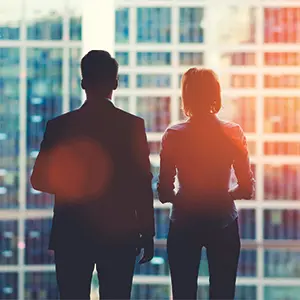 Avery WF Dual Reflective interior