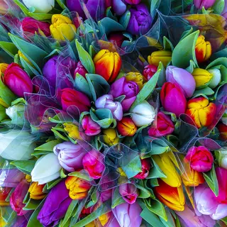 Avery MPI 3600 150mic