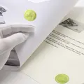 Hahnemühle Certificate of Authenticity A4 (25 ark) og 50 hologram