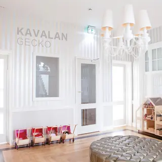 Kavalan Gecko FR GB 320g