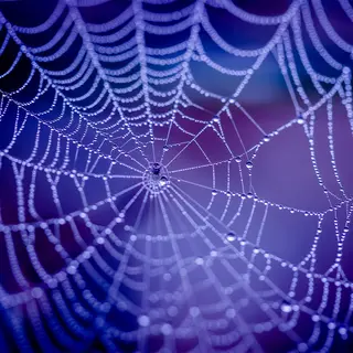 Kavalan Spiderweb mesh 300 Liner med liner