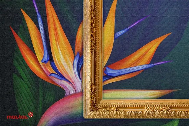 Mactac Wall Wrap filmer (WW) med struktur 