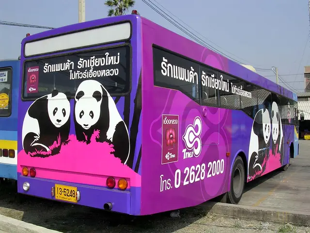 Mactac JT 9500 65mic 