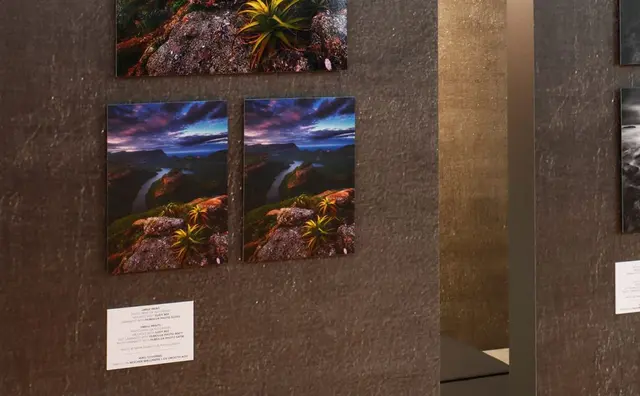 Neschen Gudy 802 23 mic 