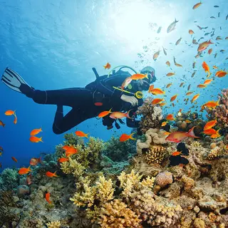 Blockout Banner 610g FR