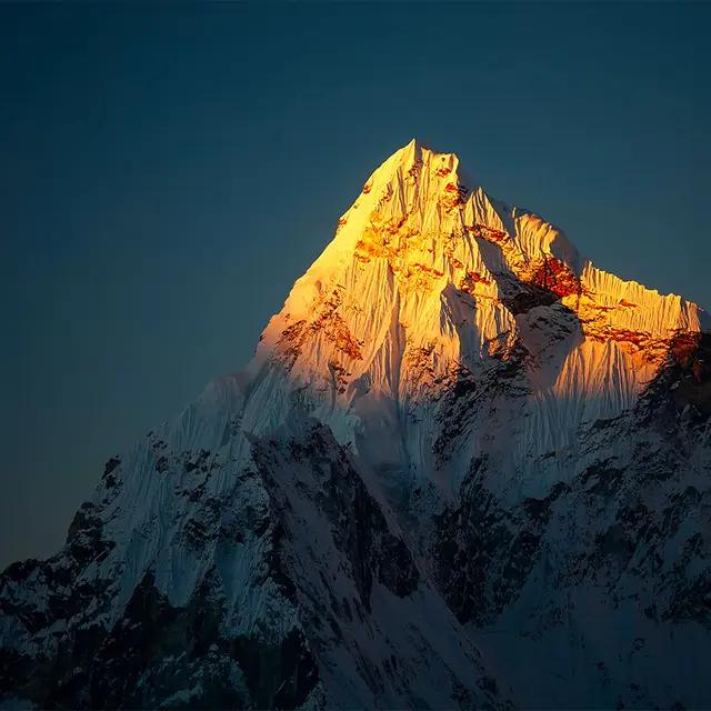 Powerlam hybrid 70mic 