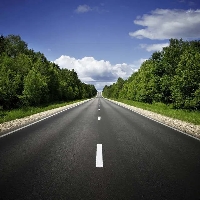 Avery MPI 3000 95mic 